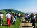 Tiroler Weinwandern in Wien