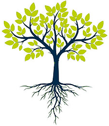 Baum - gemeinsame Wurzeln verbinden